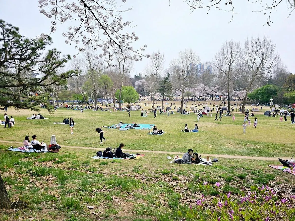Moinn House ソウル特別市 韓国