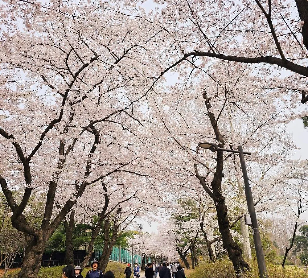 Moinn House ソウル特別市